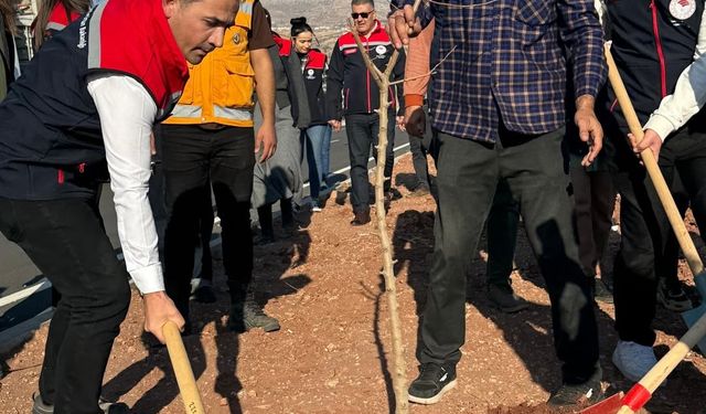 Şırnak-Cizre karayolu refüjünde 365 fidanlık ağaç dikimi yapıldı