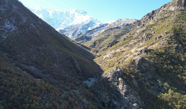 Şırnak'ta 3 bin rakımlı karlı dağlar mest etti