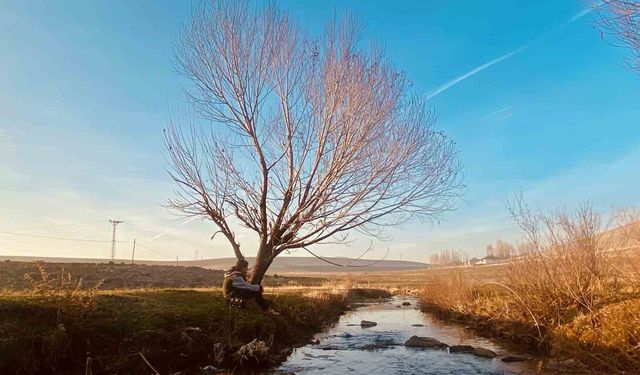 Sonbaharda sararan yapraklar görsel şölen oluşturdu