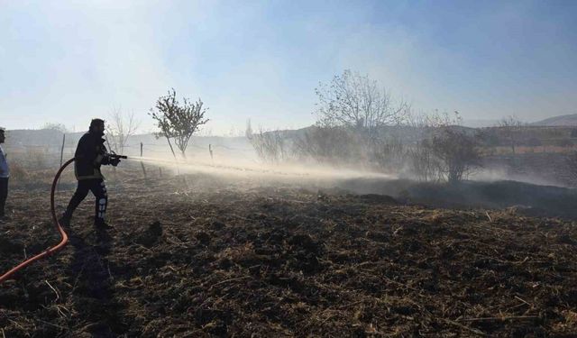 Tarlada çıkan yangın söndürüldü