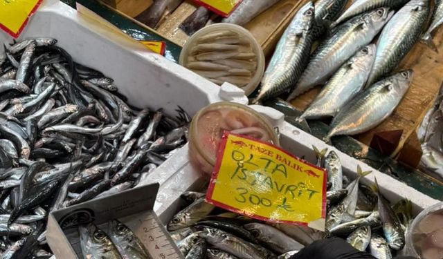 Tekirdağ’da balık tezgahlarına sıkı denetim: Boy ölçümleriyle sürdürülebilir avcılığa destek