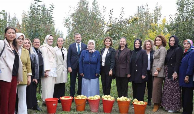 Topuklu iş kadınları ile şalvarlı köylü kadınları aynı tarlada