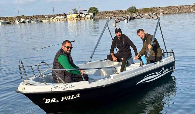 Trabzon kıyılarında köpek balığı hareketliliği arttı