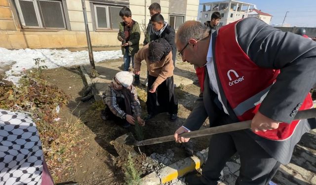 "Türkiye yeşeriyor, Gazze güçleniyor" projesiyle Yüksekova’da fidanlar toprakla buluştu