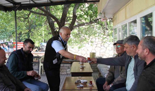 Türkiye’nin en ucuz çayı Tunceli’de