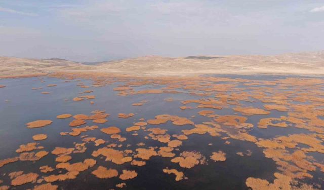 Van'da tarih ve doğa buluşması: Sonbaharın son haftasında kartpostallık manzaralar oluştu
