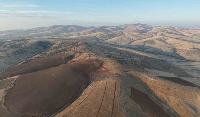 Yüzlerce ağacın kesilmesine vatandaşlardan tepki: "40 yılda büyüdü, 4 gün de yok edildi"