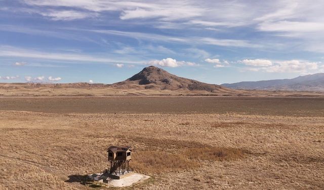 Yüzlerce kuş türüne ev sahipliği yaparken kuraklığa yenik düştü