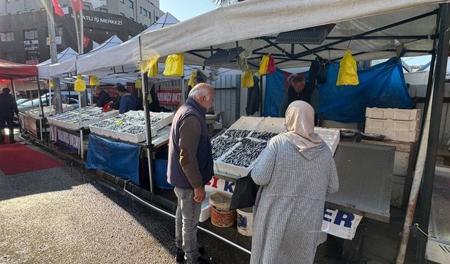 Zonguldak’ta tezgahtaki hamsi yerini diğer çeşit balıklara bırakıyor