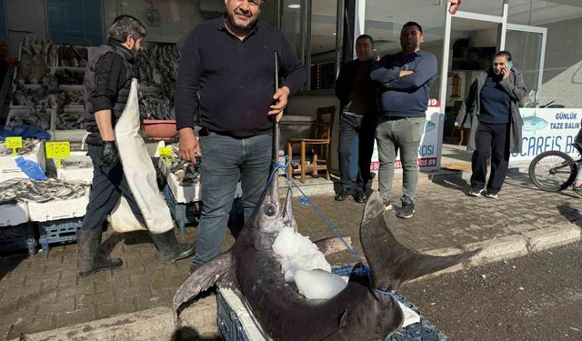 138 kiloluk kılıç balığı ilgi odağı oldu