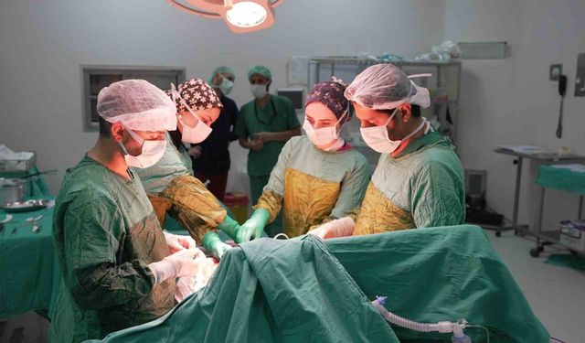 2 kilogramı aşan dev tümör başarıyla çıkarıldı