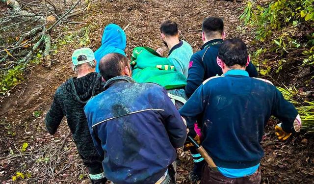 Ağaç keserken yaralanan işçi için seferber oldular