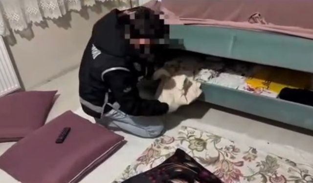 Ağrı'da kaçakçılık operasyonunda milyonluk telefon ve sigara ele geçirildi