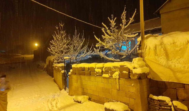 Ahlat'ta kar yağışı