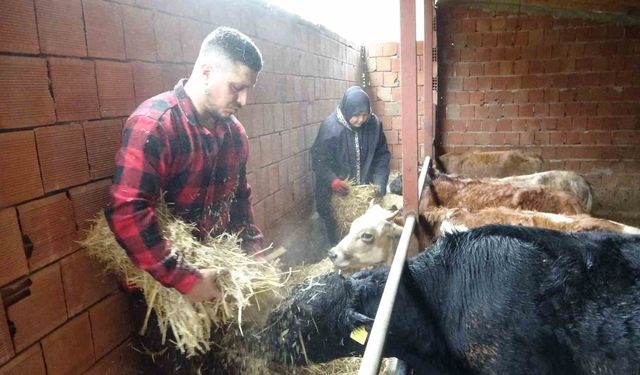 Almanya'dan köyüne döndü, çobanlık yapmaya başladı