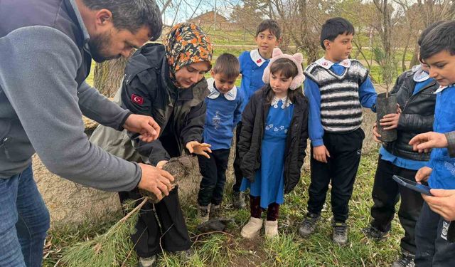 Altıntaş'ta öğrenciler fidanları toprakla buluşturdu