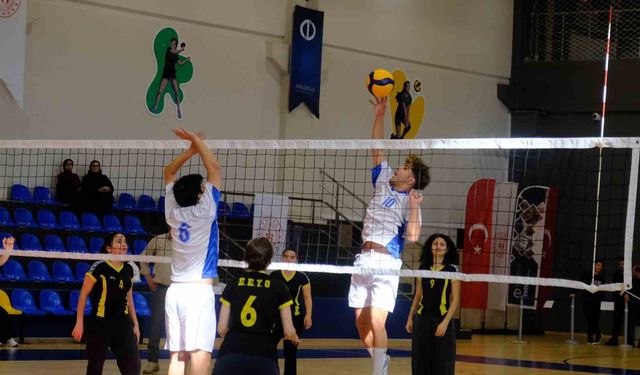 Anadolu Üniversitesi'nde 'engelsiz' voleybol maçı yapıldı