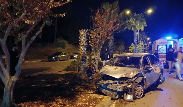 Antalya'da palmiyeye çarpan otomobilin sürücüsü yaralandı