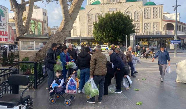 Antalyalı çiftçi ürünlerin çöpe dökülmesine tepki olarak 200 marulu ücretsiz dağıttı