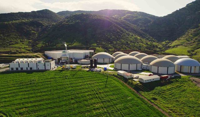 ARF Bio'nun halka arzına 4 kata yakın talep geldi