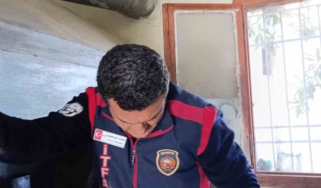 Arsuz'da kuş kurtarma operasyonu