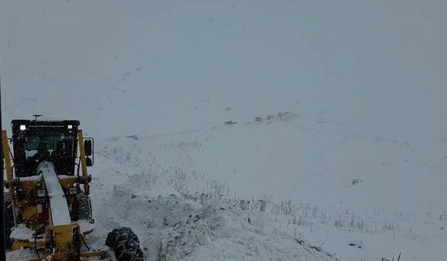 Artvin Valisi Turan Ergün: '3 çobanın çığ altında kaldığı yönünde bir bilgi geldi'