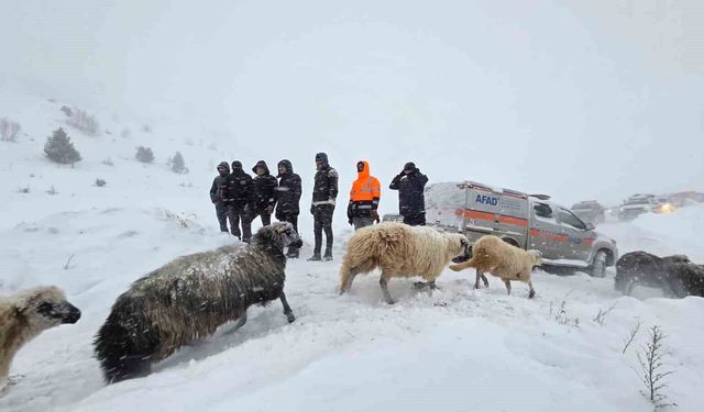 Artvin'de çığ altında kalan 3 çobandan birinin cansız bedenine ulaşıldı