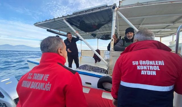 Aydın'da su ürünleri denetimleri aralıksız sürüyor