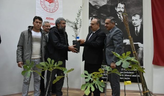 Aydın'da üreticilere 74 bin 90 fide dağıtılacak