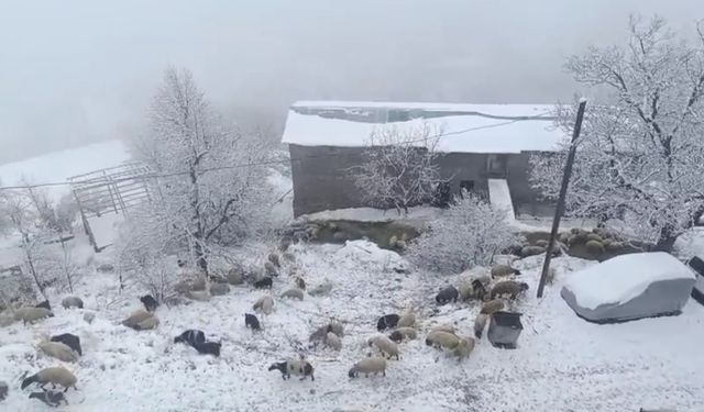 Bahçesaray'da kar yağışı