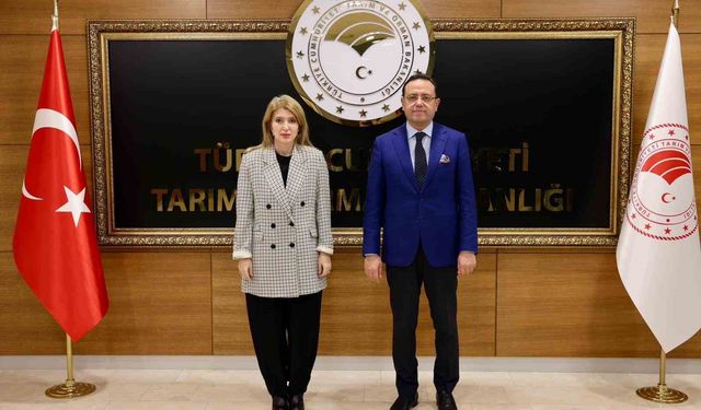 Bakan Yardımcısı Gizligider ile görüşen Ölmeztoprak, üreticinin taleplerini iletti