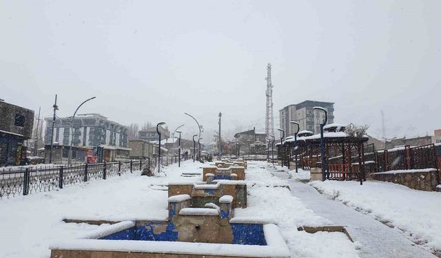 Başkale'de kar kalınlığı 20 santimetreyi geçti