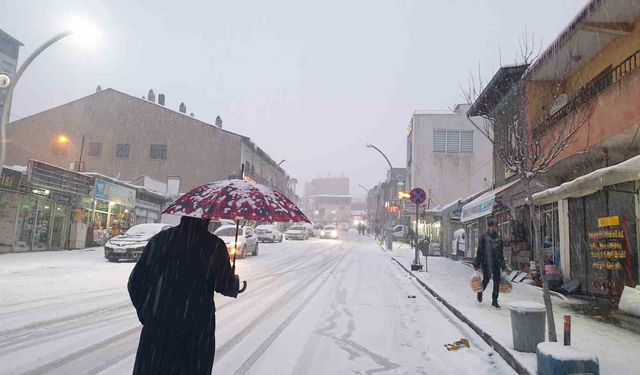 Başkale'de kar yağışı etkili oldu