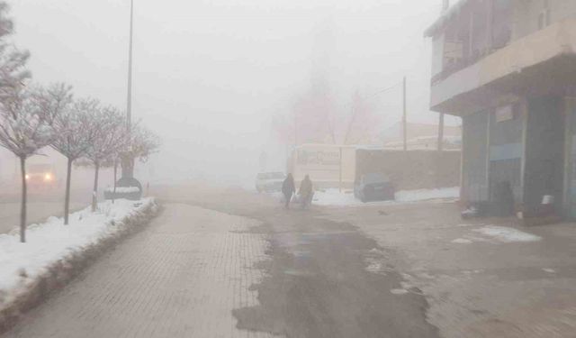 Başkale'de sis etkili oldu