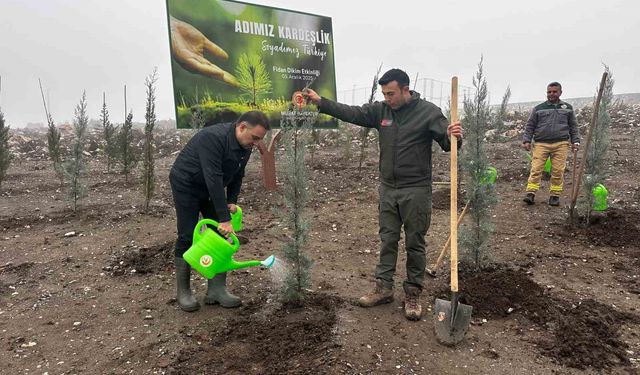 Baybatur'dan yanan orman alanlarına bin fidan