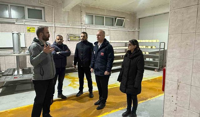 Bayburt'ta süt işleme ve peynir üretim tesisine çevre denetimi