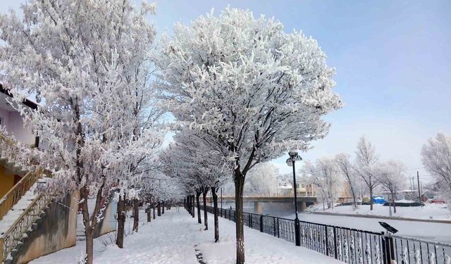 Bayburt'un Arpalı Beldesi güne kar yağışıyla uyandı