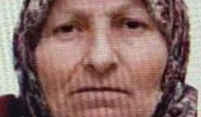 Bilecik'te kaybolan yaşlı kadını jandarma buldu