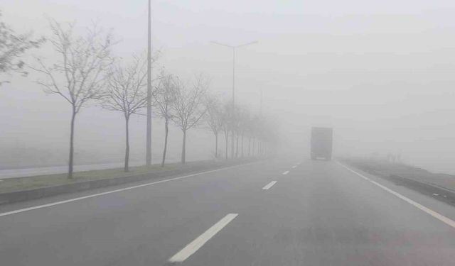 Bingöl'de yoğun sis etkili oldu