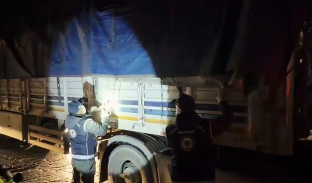 Bitlis'te tır dorsesinde 31 göçmen yakalandı