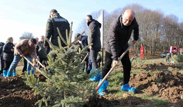 Bolu'da otel faciasında yaşamını yitiren 78 kişi için hatıra ormanı