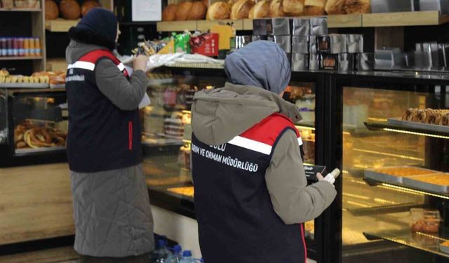 Bolu'da yılbaşı öncesi gıda denetimleri sıklaştırıldı, 350 işletme kontrol edildi