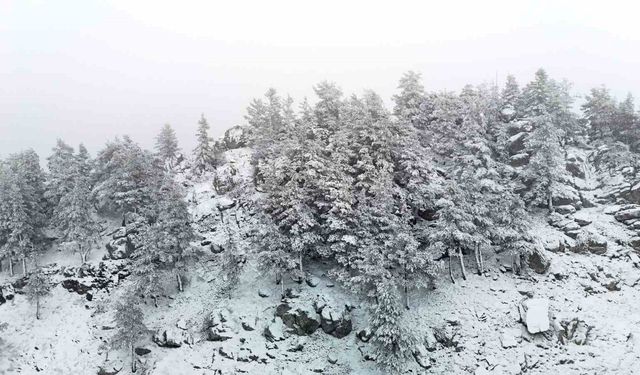 Bolu'nun yükseklerinde kar yağışı etkili oluyor