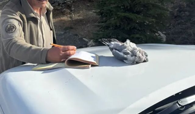 Burdur'da kaçak avcılar ekiplere yakalandı