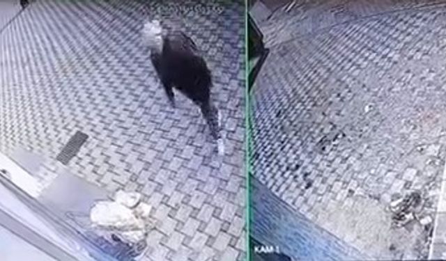 Bursa'da pazar arabası hırsızlığı