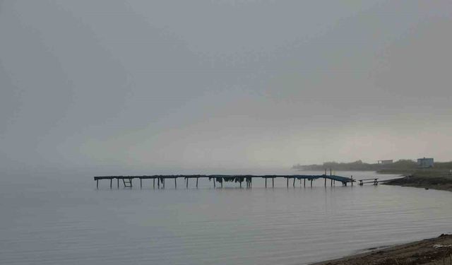 Çanakkale Boğazı sis nedeniyle transit gemi geçişlerine kapatıldı