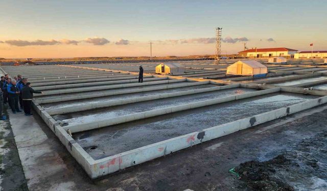 Çanakkale'deki deniz solucanları yetiştiriciliği tesisi sektörde tek