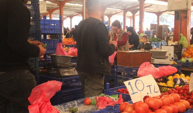 Çanakkale'nin meşhur domatesi tezgahlarda 40 liradan 10 liraya kadar düştü