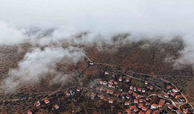 Çankırı'da sis ve kızıla bürünen ormanların buluşması mest etti