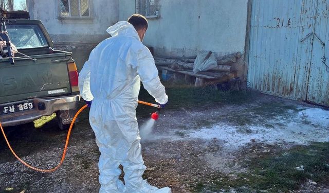 Çavdarhisar'da hayvan işletmelerinde salgın hastalıklara karşı dezenfeksiyon